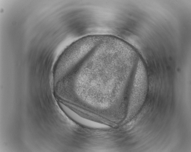 X0000088401472200706121223