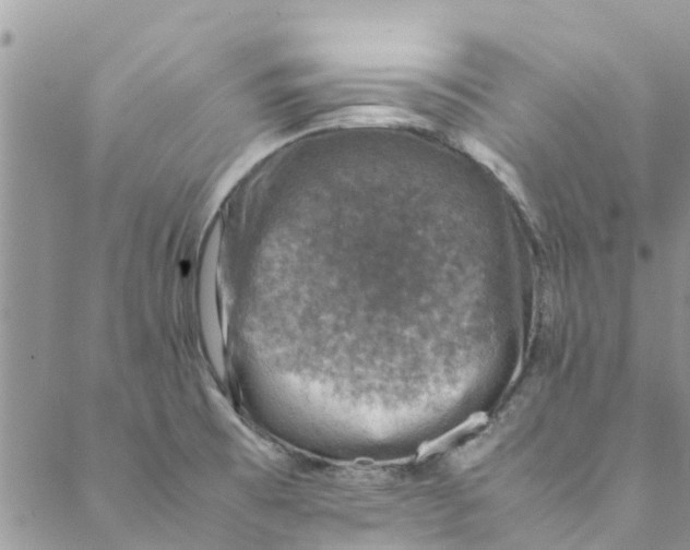 X0000088401473200706121223