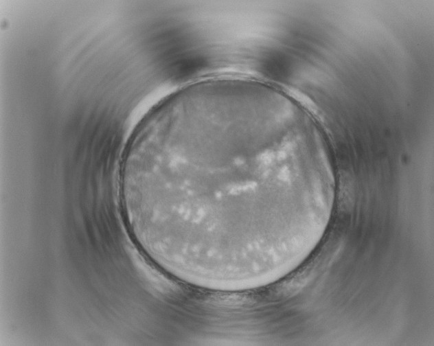 X0000088401474200706121223