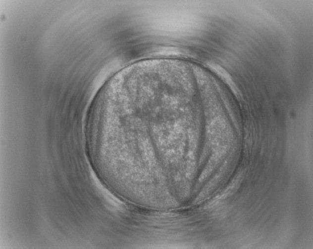 X0000088401475200706121222