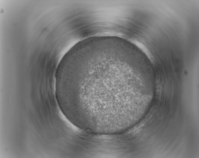 X0000088401476200706121222