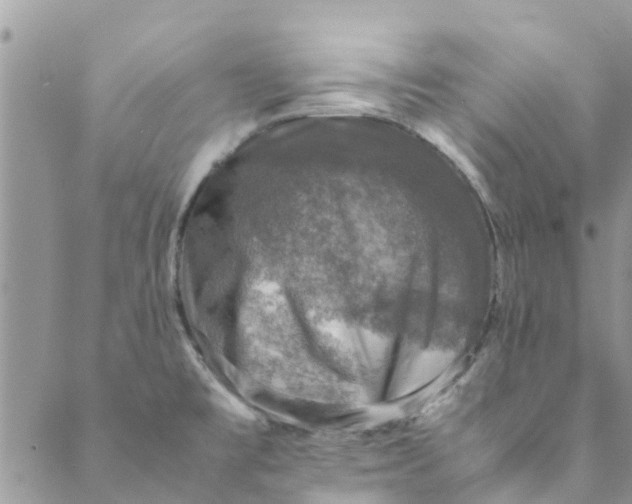 X0000088401477200706121222