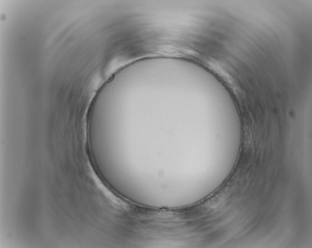 X0000088401479200706121222