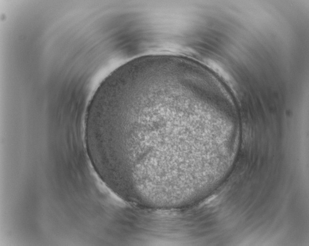 X0000088401480200706121222