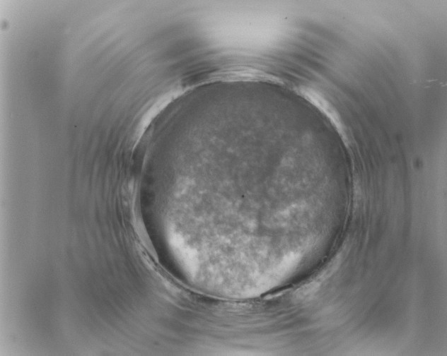 X0000088401481200706121222