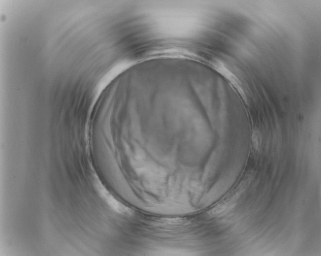 X0000088401482200706121222