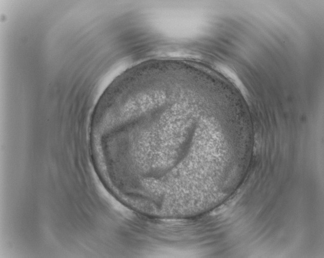 X0000088401483200706121222