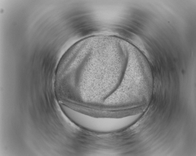 X0000088401484200706121222