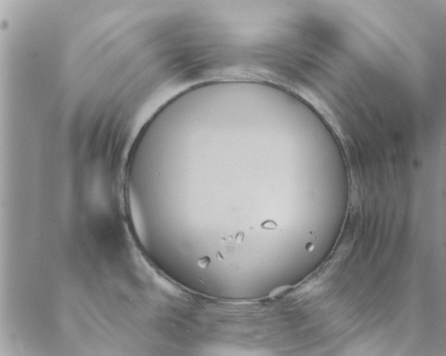 X0000088401486200706121222