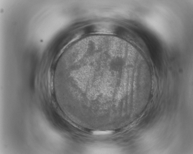 X0000088401487200706121222