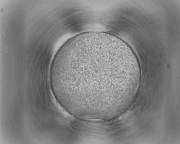 X0000088401488200706121222