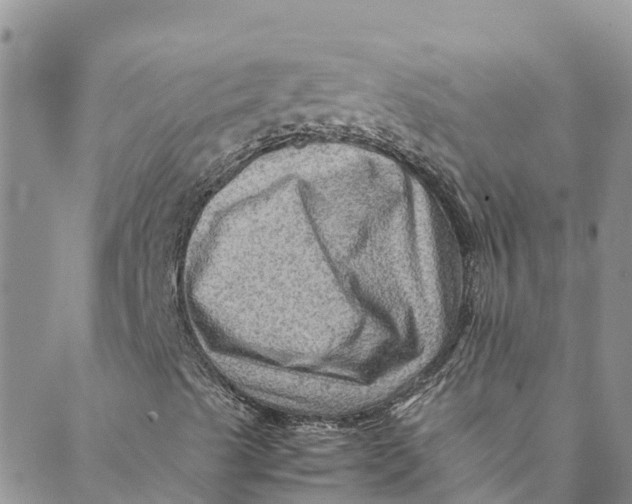 X0000088401489200706121222