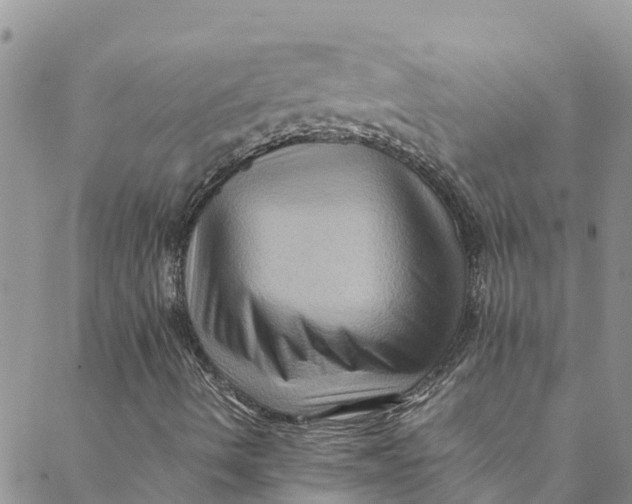 X0000088401490200706121222