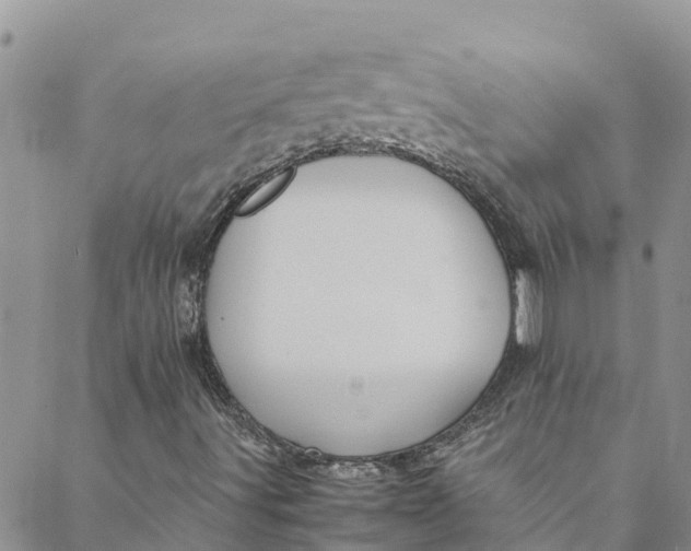 X0000088401491200706121222