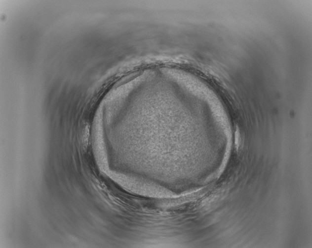 X0000088401492200706121222