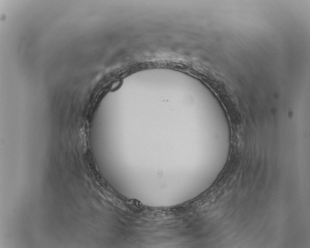 X0000088401493200706121222