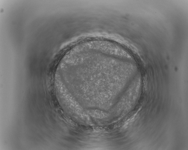 X0000088401494200706121222