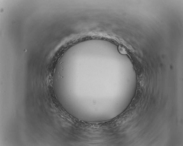 X0000088401495200706121222