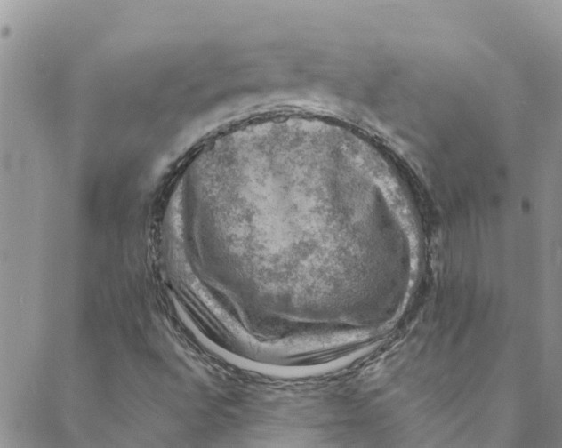 X0000088401496200706121222