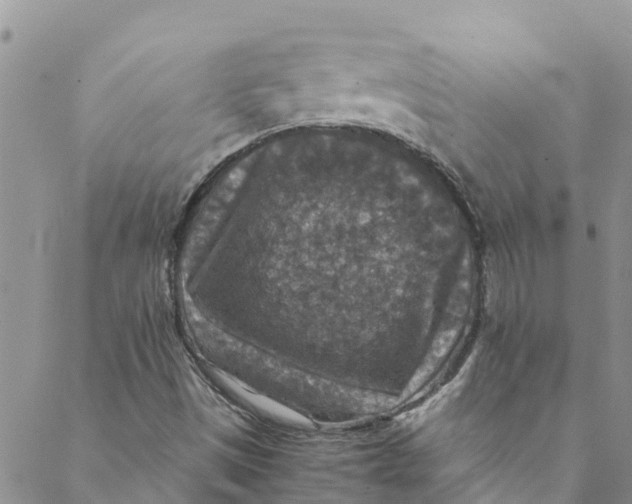 X0000088401497200706121222