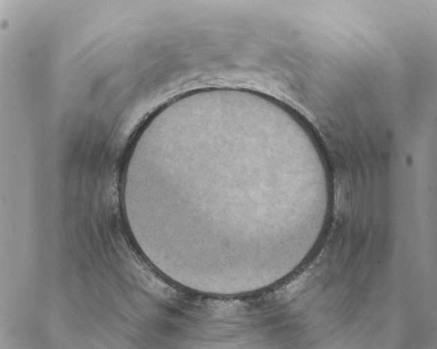 X0000088401498200706121222