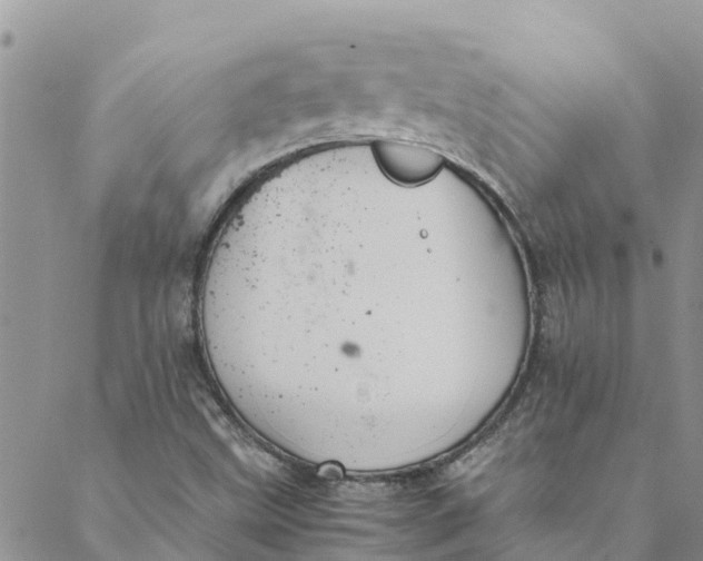 X0000088401499200706121222