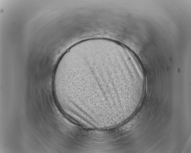 X0000088401500200706121222