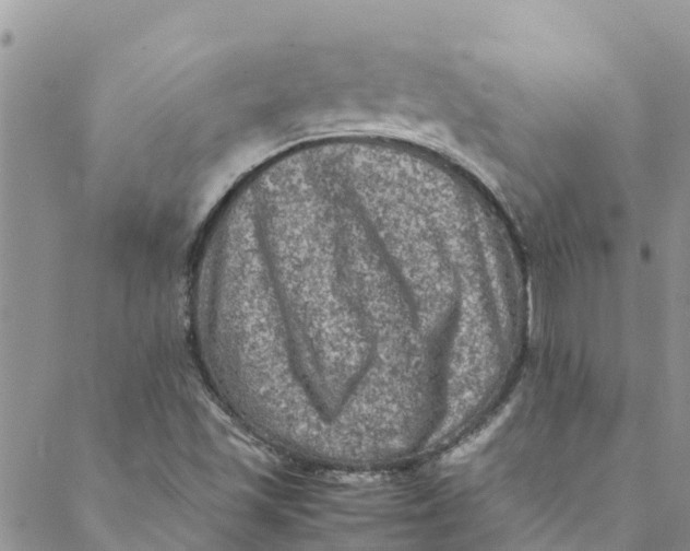 X0000088401501200706121222