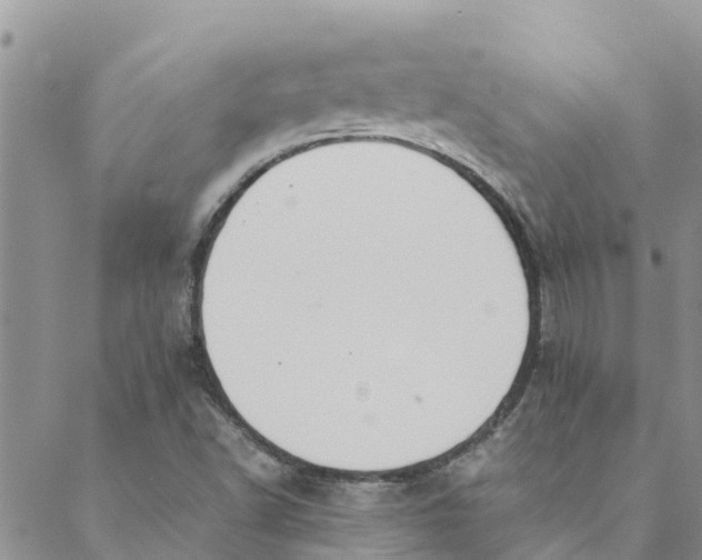 X0000088401502200706121222