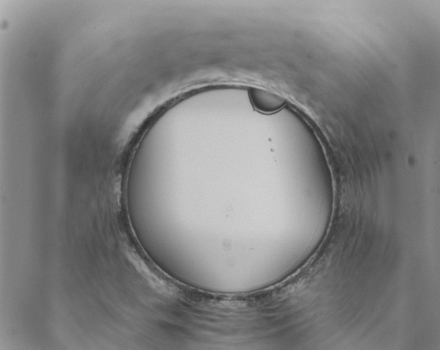 X0000088401503200706121222