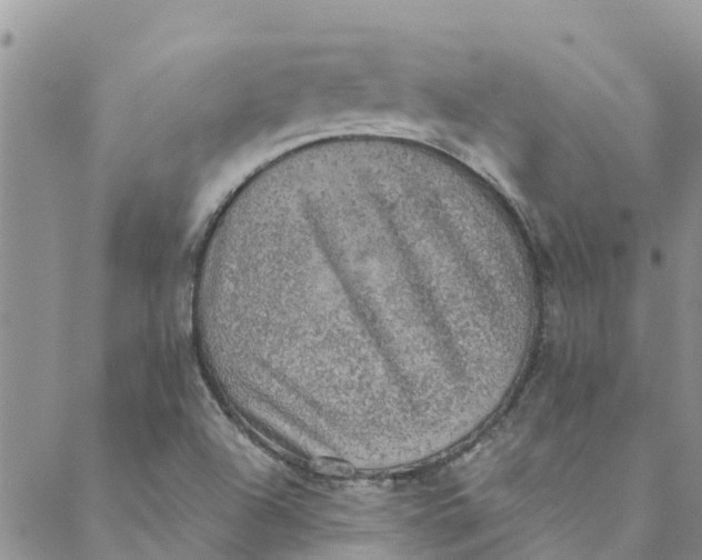 X0000088401504200706121222