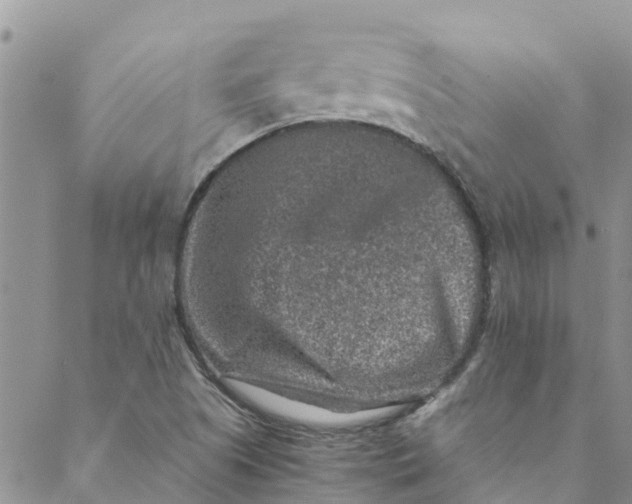 X0000088401505200706121222