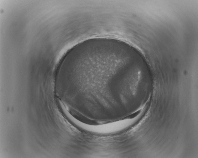 X0000088401506200706121222