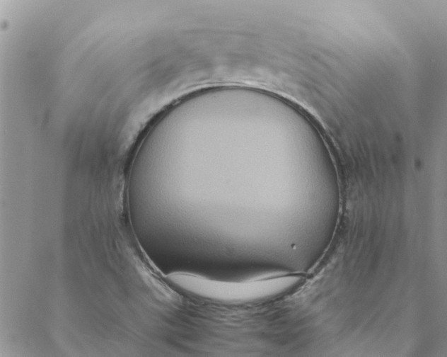 X0000088401507200706121222