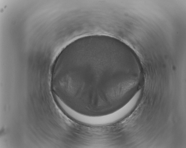 X0000088401508200706121222