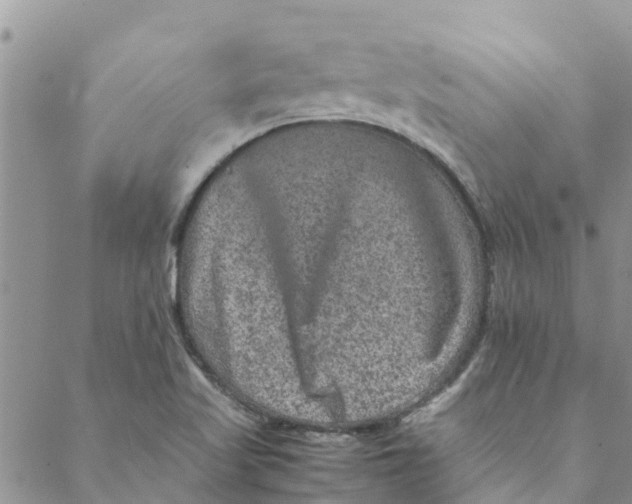 X0000088401509200706121222