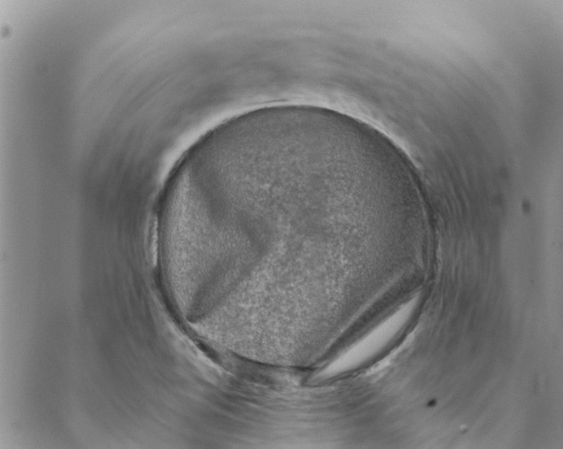 X0000088401510200706121222