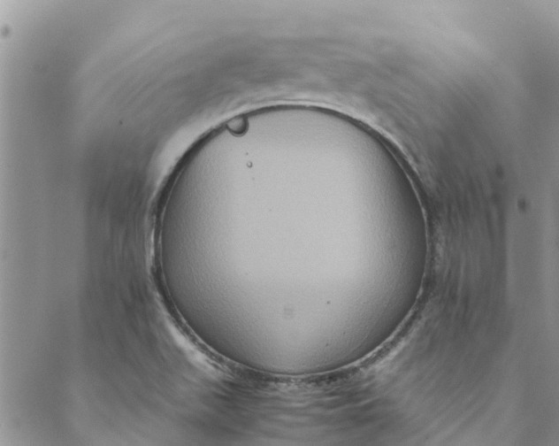 X0000088401511200706121222