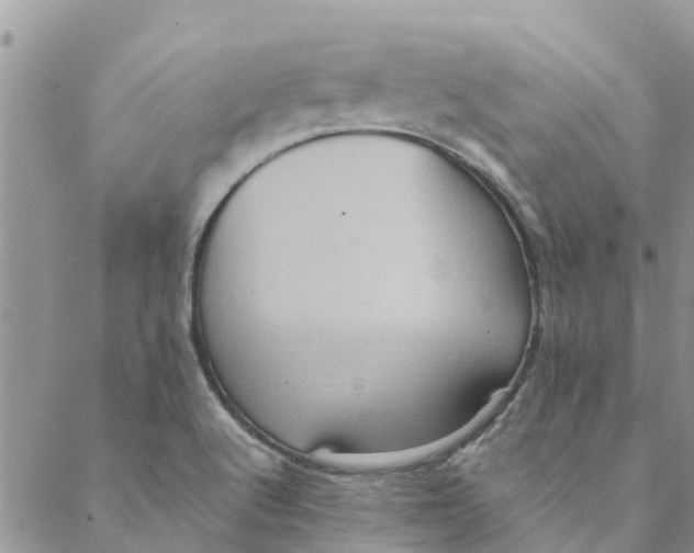 X0000088401512200706121222