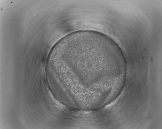 X0000088401513200706121222