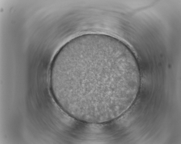 X0000088401514200706121222