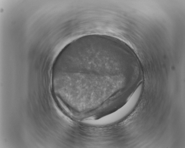 X0000088401515200706121222