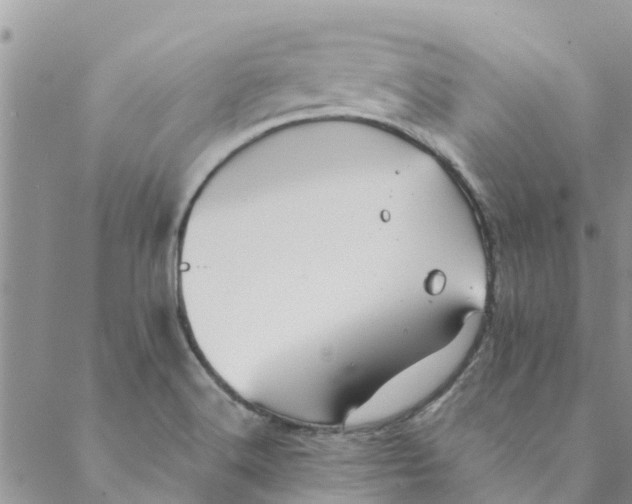 X0000088401516200706121222