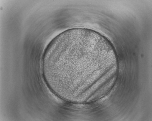 X0000088401517200706121222