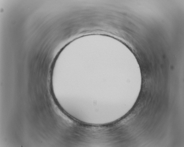 X0000088401518200706121222