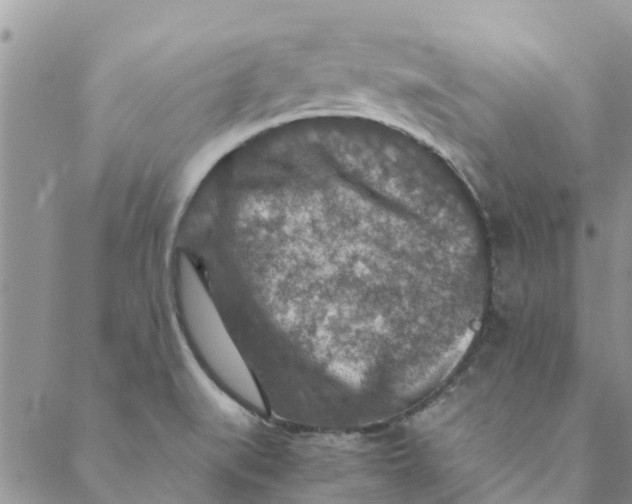 X0000088401519200706121222