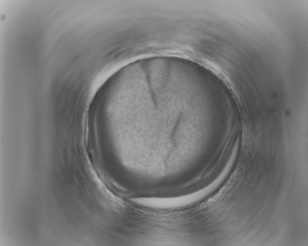 X0000088401520200706121222