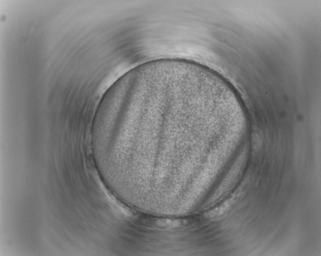 X0000088401521200706121222