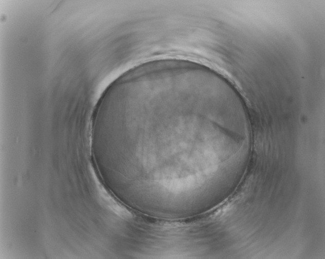 X0000088401522200706121222