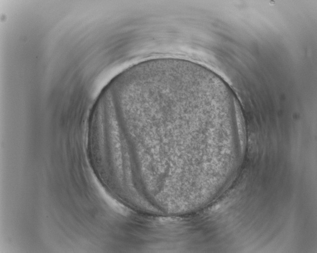 X0000088401523200706121222